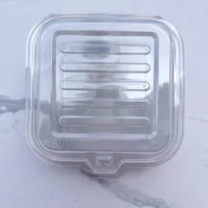 Transparent Bento Box